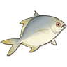 Bream icon