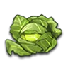 Cabbage icon