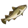 Cod icon