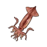 Cuttlefish icon
