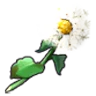 Dandelion icon