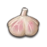 Garlic icon
