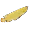 Golden Arowana icon