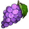 Grape icon