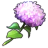 Hydrangea icon