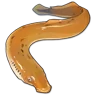 Lamprey icon