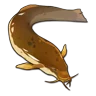 Pond Loach icon
