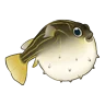 Pufferfish icon