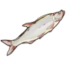 Redmouth Culter icon