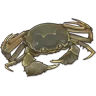River Crab icon