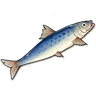 Salmon icon
