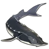 Sturgeon icon