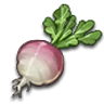 Turnip icon
